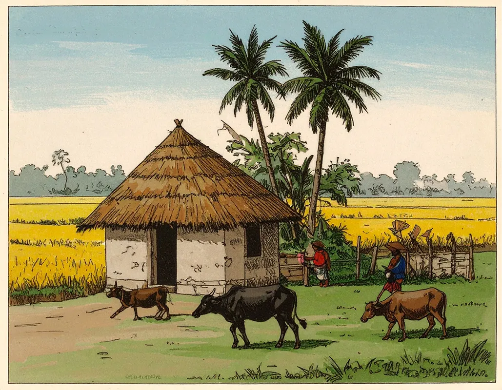 Pastoral illustration of the Bangladeshi countryside we serve