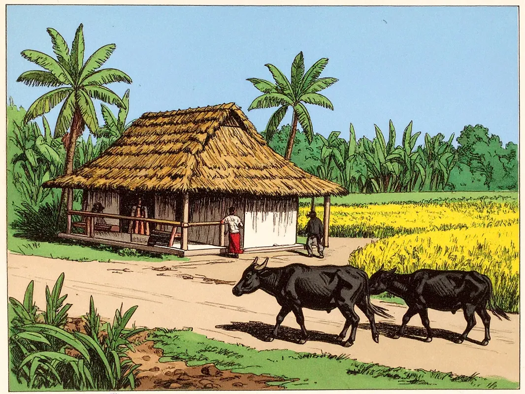 Illustration of a Bangladeshi farm — thatched-roof house, palm trees, and water buffalo in a yellow mustard field
