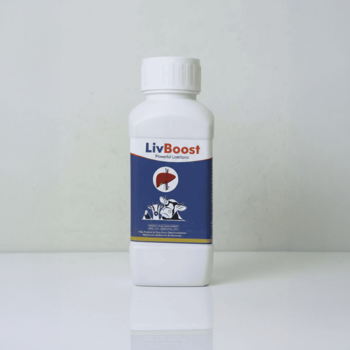 Liv Boost (500 ml)