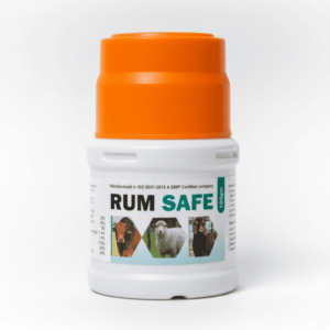 Rum Safe (100gm)