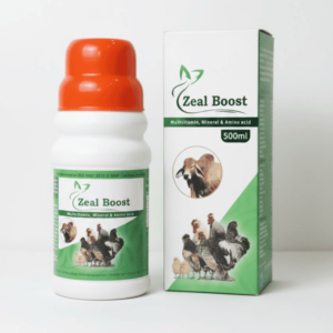 Zeal Boost (500 ml)